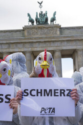 PETA Demonstration gegen Hühnerhaltung, Berlin