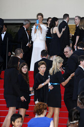 'Drachenzähmen leicht gemacht 2' Premiere, Cannes Film Festival 2014