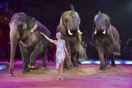 Premiere der 3. Winterspielzeit des Circus Krone in München