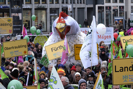 Demonstration 'Wir haben es Satt!' in Berlin