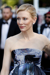 'Carol' Premiere, Cannes Film Festival 2015