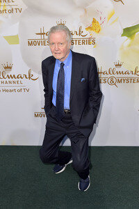 Hallmark Channel und Hallmark Movies and Mysteries Summer 2017 TCA Press Tour in Beverly Hills