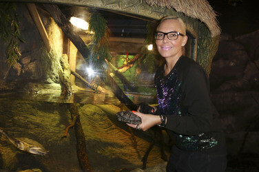 'Abenteuer Schildkröte' Opening im Sea Life, Berlin