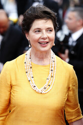 'Sicario' Premiere, Cannes Film Festival 2015