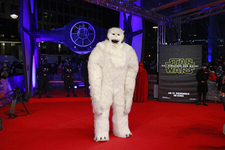 Filmpremiere 'Star Wars: Das Erwachen der Macht' in Berlin