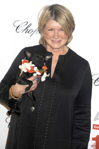 19. ASPCA Bergh Ball in New York