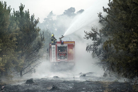 Waldbrandbekämpfung bei Treuenbrietzen