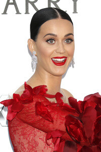 amfAR's Cinema Against Aids Gala, Cannes Film Festival 2016
