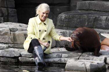Walross Taufe im Tierpark Hagenbeck, Hamburg