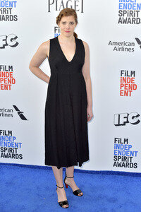 Film Independent Spirit Awards 2017 in Santa Monica