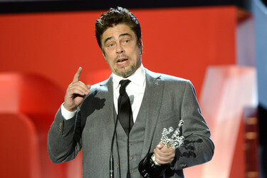 Donostia Award für Benicio Del Toro, San Sebastian Film Festival 2014