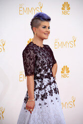 66. Primetime Emmy Awards, Los Angeles