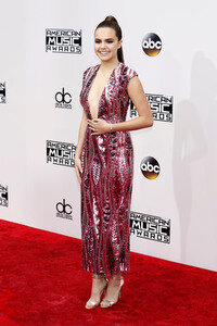 American Music Awards 2016 in Los Angeles