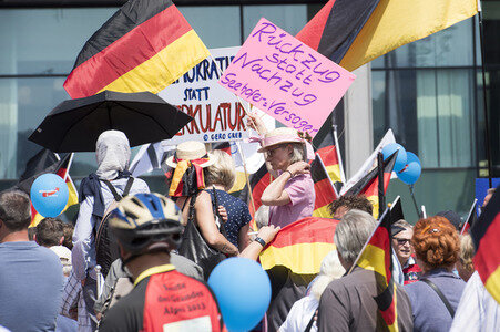 AfD Demo 'Zukunft Deutschland' in Berlin