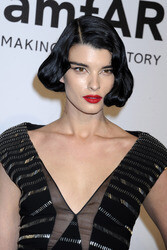 amfAR Gala 2015, New