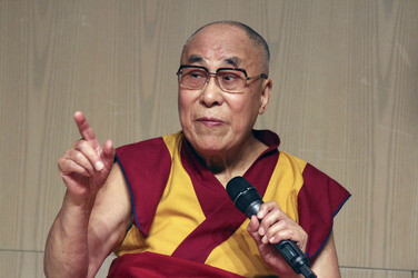 Dalai Lama Pressekonferenz, Hamburg