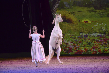 Pferdeshow 'Apassionata - Im Bann des Spiegels' in München
