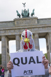 PETA Demonstration gegen Hühnerhaltung, Berlin