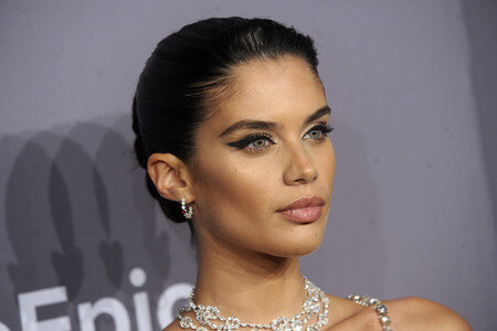 amfAR New York Gala 2018