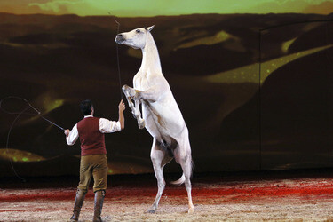 Apassionata Show 'Die goldene Spur', Dortmund