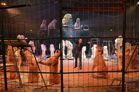 Premiere der 3. Winterspielzeit des Circus Krone in München