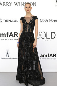 amfAR's Cinema Against Aids Gala, Cannes Film Festival 2016