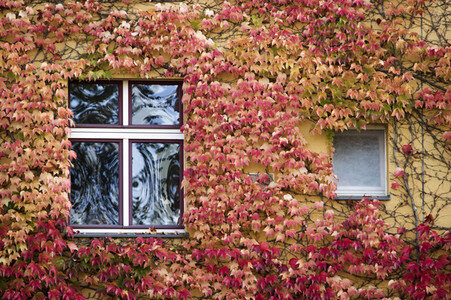Symbolfoto Herbst