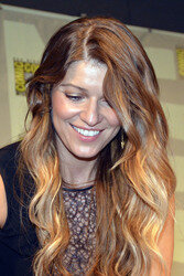 'Banshee' Panel, San Diego Comic Con