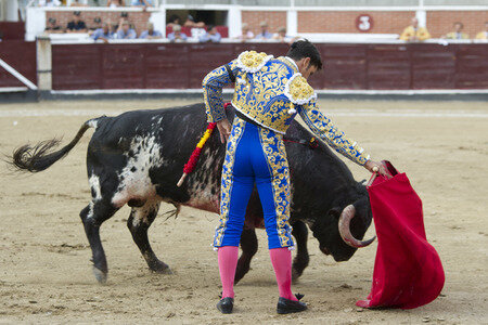Stierkampf in San Sebastián de los Reyes