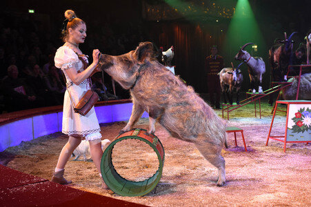 Premiere der 2. Winterspielzeit 2018 des Circus Krone in München