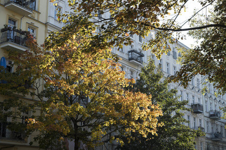 Symbolfoto Herbst