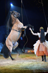 'Evolution' Weltpremiere im Circus Krone, München