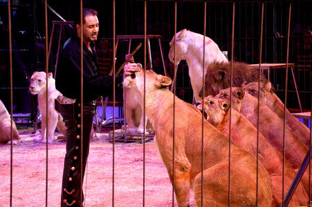 Premiere der 2. Winterspielzeit 2018 des Circus Krone in München