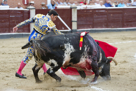 Stierkampf in San Sebastián de los Reyes