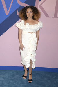 CFDA Fashion Awards 2017 in New York