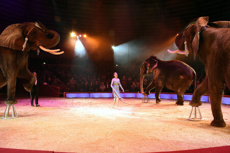 Premiere der 2. Winterspielzeit 2018 des Circus Krone in München