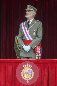 König Felipe bei Ordensverleihung in San Lorenzo de El Escorial