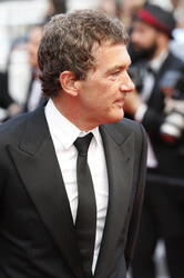 'Sicario' Premiere, Cannes Film Festival 2015