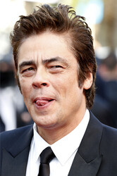 'Sicario' Premiere, Cannes Film Festival 2015
