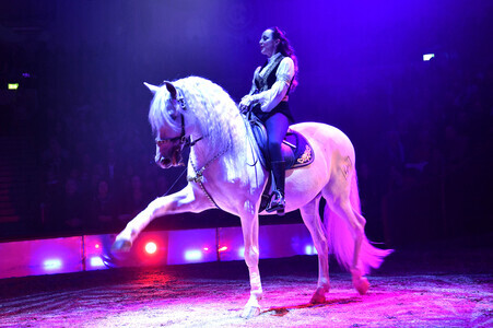 Circus Krone Premiere 'Ich.Du.Wir.Krone' in München