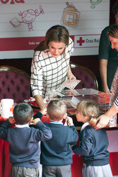 Red Cross Fundraising Day, Madrid
