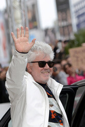 Ankunft von Pedro Almodóvar auf dem San Sebastian Film Festival 2014