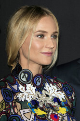 'The Bridge - America' Premiere, West Hollywood