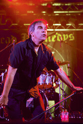 Konzert der Dead Kennedys in Hamburg