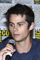 'The Maze Runner' Panel, San Diego Comic Con