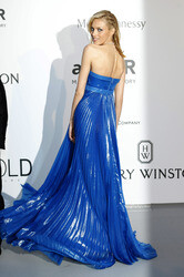 amfAR's Cinema Against Aids Gala 2015 im Rahmen des Cannes Film Festivals