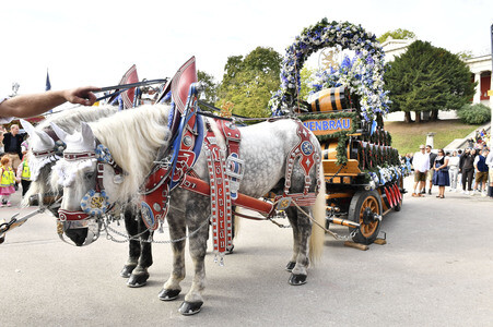 Regines Damenwiesn beim Oktoberfest 2026 in München