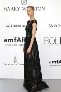 amfAR's Cinema Against Aids Gala, Cannes Film Festival 2016
