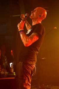 Konzert von Los Fastidios in Hannover