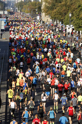 41. Berlin Marathon 2014